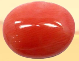 Red Coral